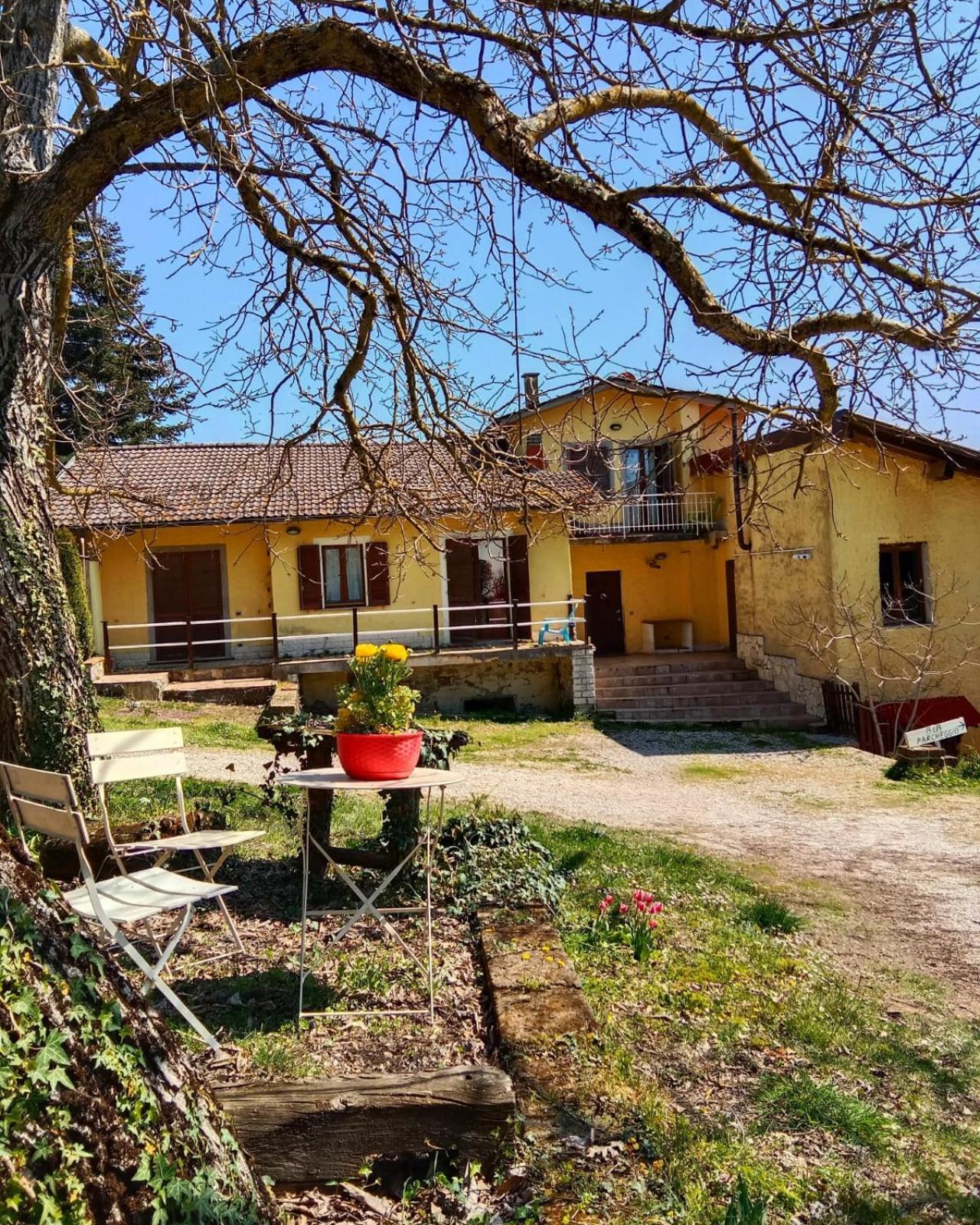 Bed And Breakfast La Grotta Castel Giorgio Exteriör bild